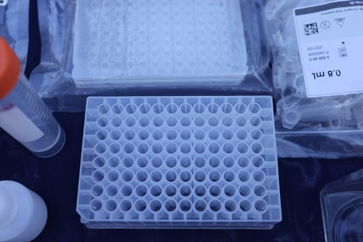 A 96-well laboratory microplate.