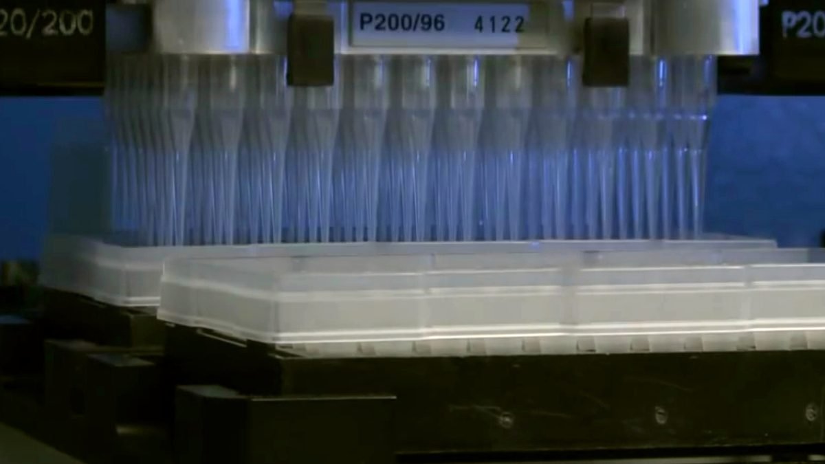 An automated multi-channel liquid handling robot in a laboratory.
