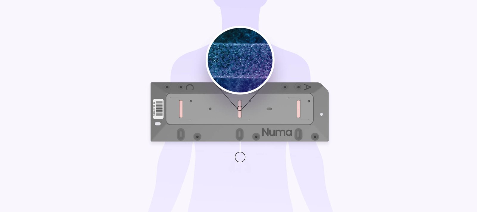 NuVivo organ chips — image from the Numa BioSciences site.