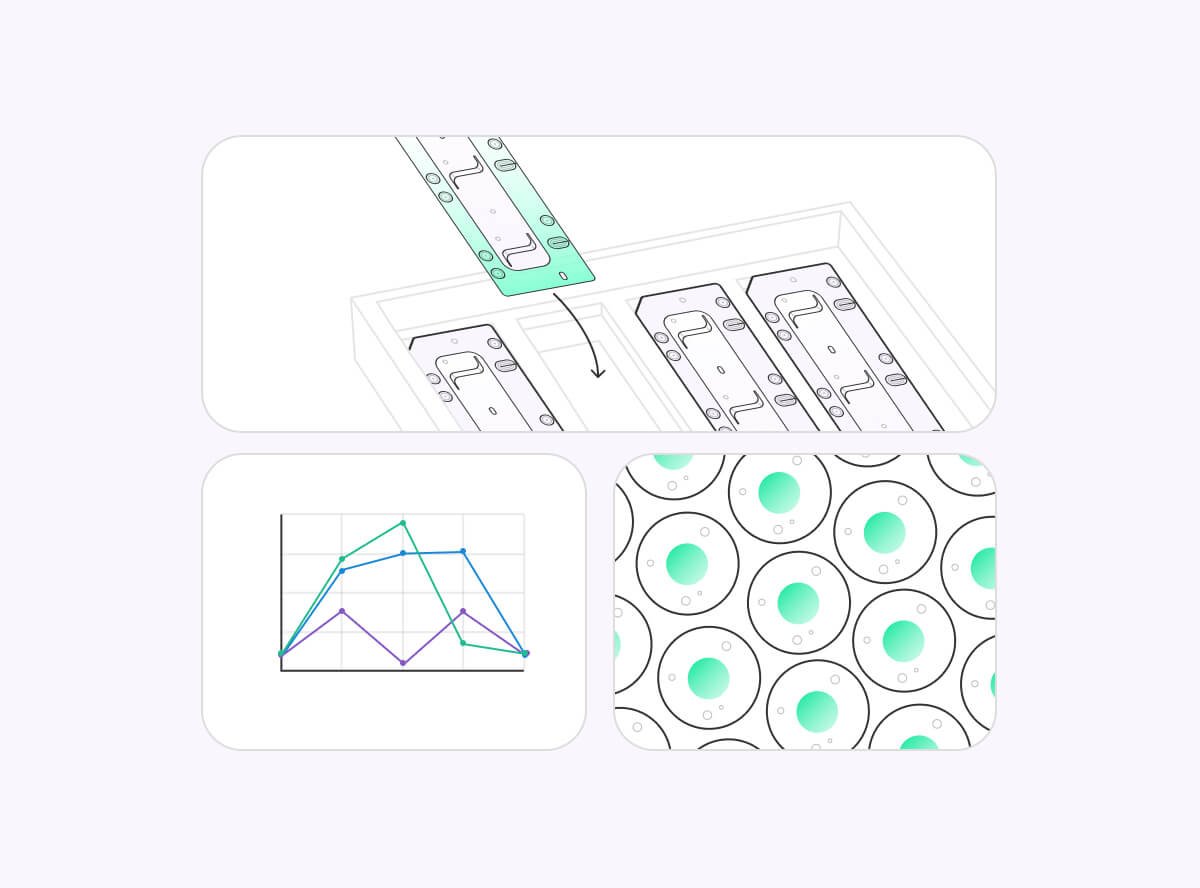 Study execution — screen from the EveAnalytics platform.